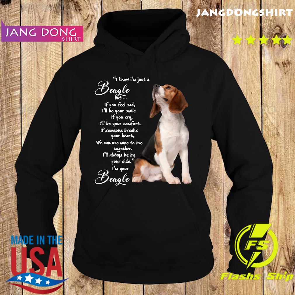 I Know I'm Just A Beagle But If You Feel Sad Shirt Hoodie